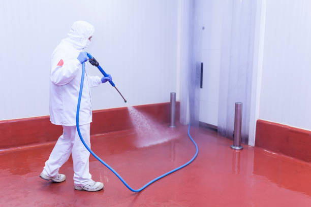 Best Gutter Cleaning and Brightening in Brightwaters, NY